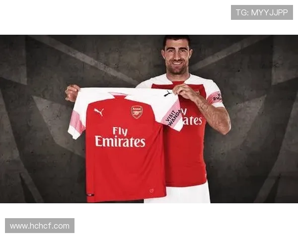 多特七百万签普拉特斯后卫加盟